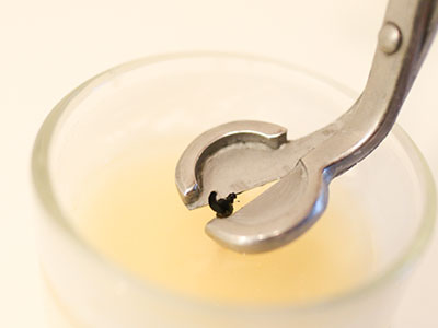 フダムール:芯のメンテナンス フダムール:芯のメンテナンス